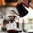 Barista Artisan Electric Kettle