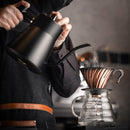 Temperature controlled Barista Kettle
