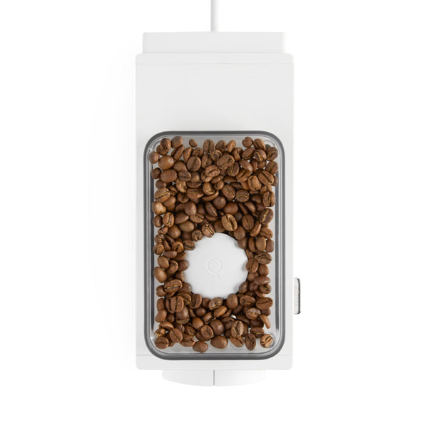 Bean Hopper of Fellow Ode Brew Grinder