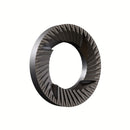 Fiorenzato Pietro M Modal Burrs 58mm flat burr set engineered for precise filter coffee grinding