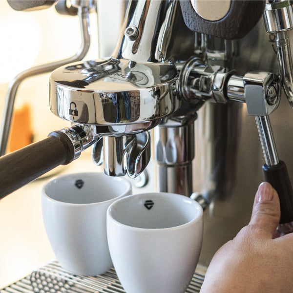 Lelit MaraX3 Stainless Steel Espresso Brewing Machine