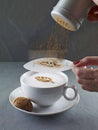 Aerolatte 6-Piece Cappuccino Art Stencil Set