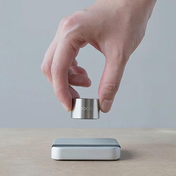 Acaia Calibration Weight