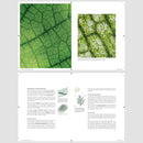 Barista Hustle Terroir - Text