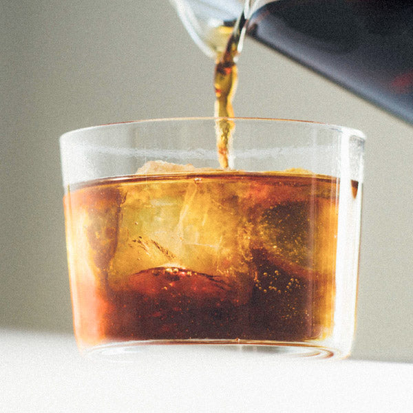 Dripster Cold Brew Coffee Maker