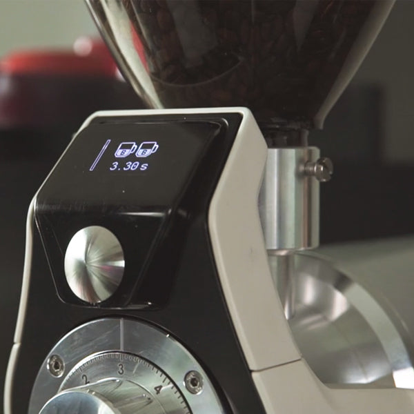 Macap L70D Coffee Grinder Espresso and Deli