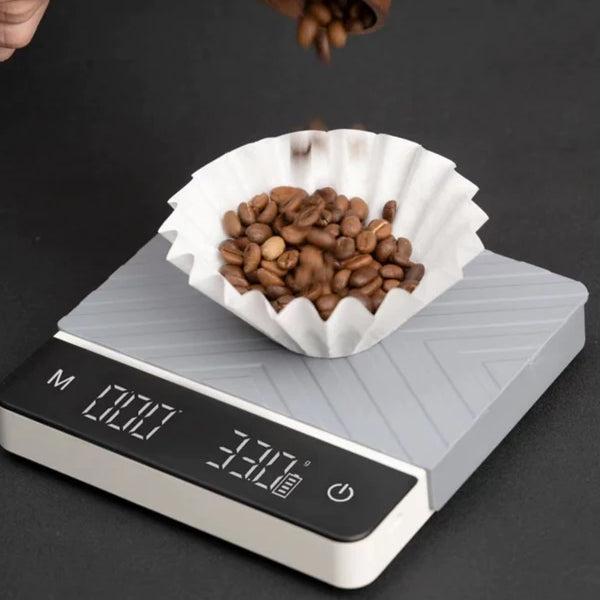 The Little Guy Professional Smart Scale
